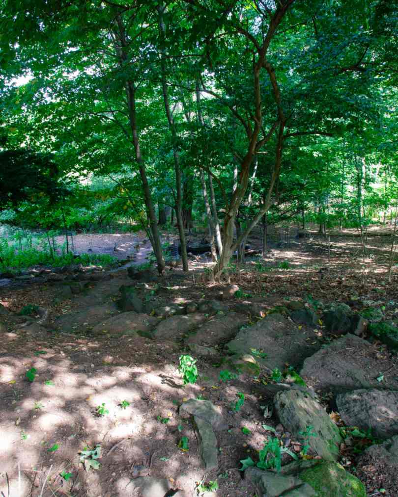arbor nature walking trail in middlesex county nj
