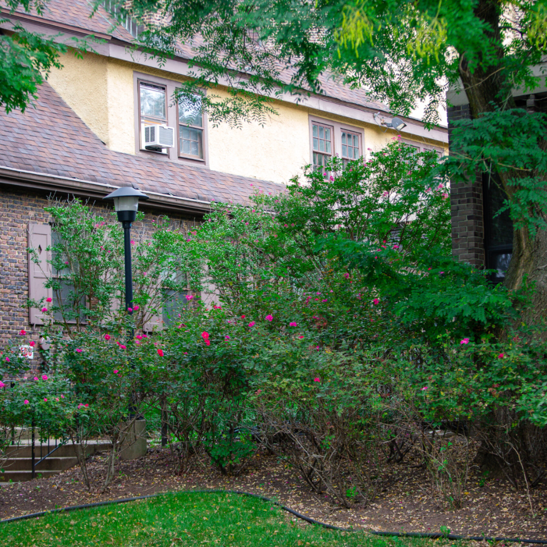 outdoor picture of the back of the inn with lots of greenery and pink flowers growing